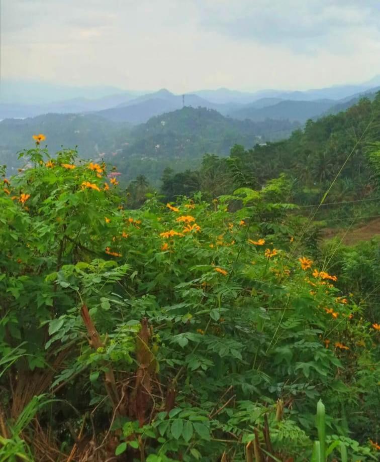 Kandy Ivy Mountain View Resort מראה חיצוני תמונה