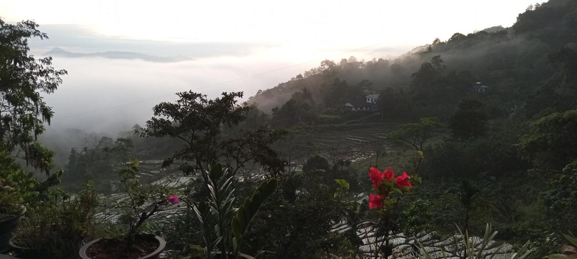 Kandy Ivy Mountain View Resort חדר תמונה