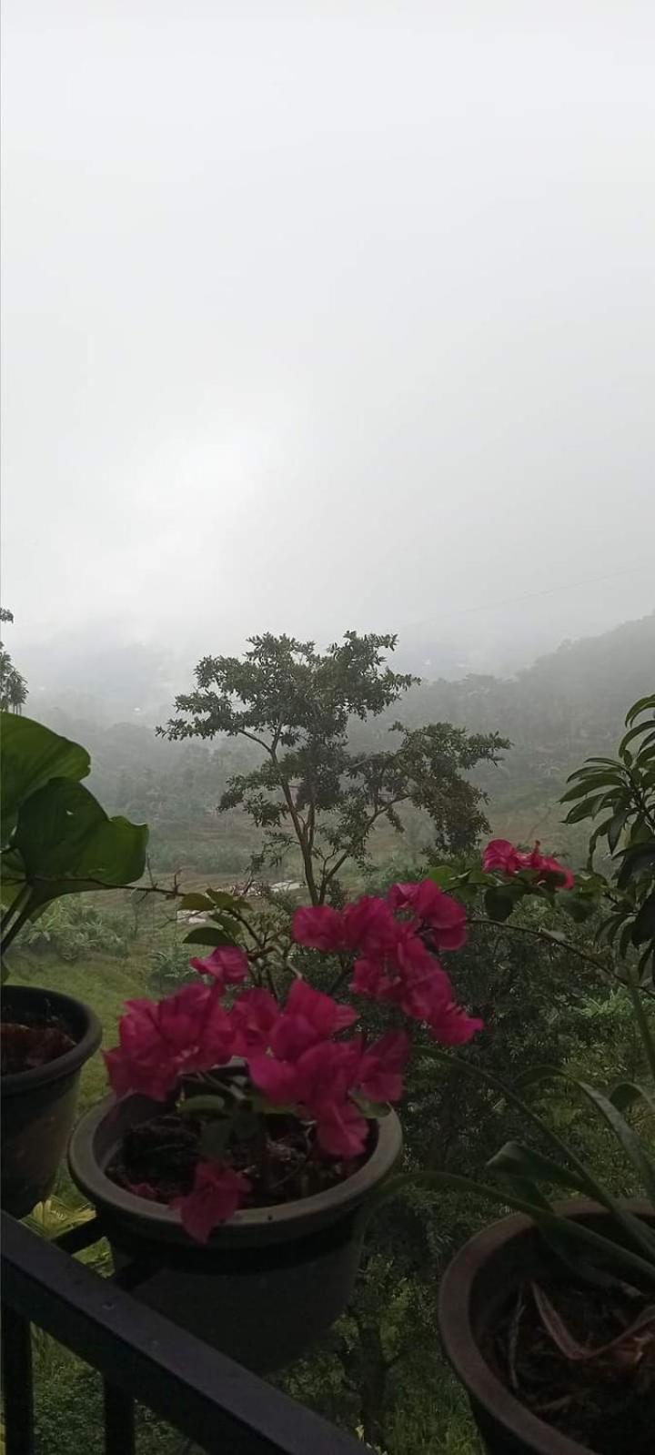 Kandy Ivy Mountain View Resort מראה חיצוני תמונה
