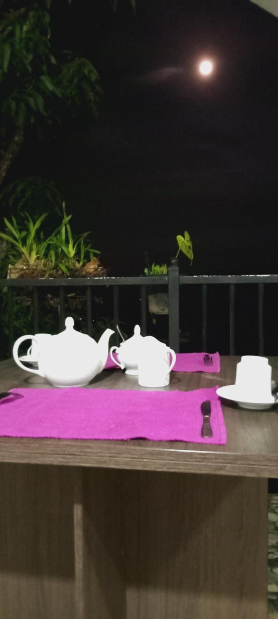Kandy Ivy Mountain View Resort חדר תמונה