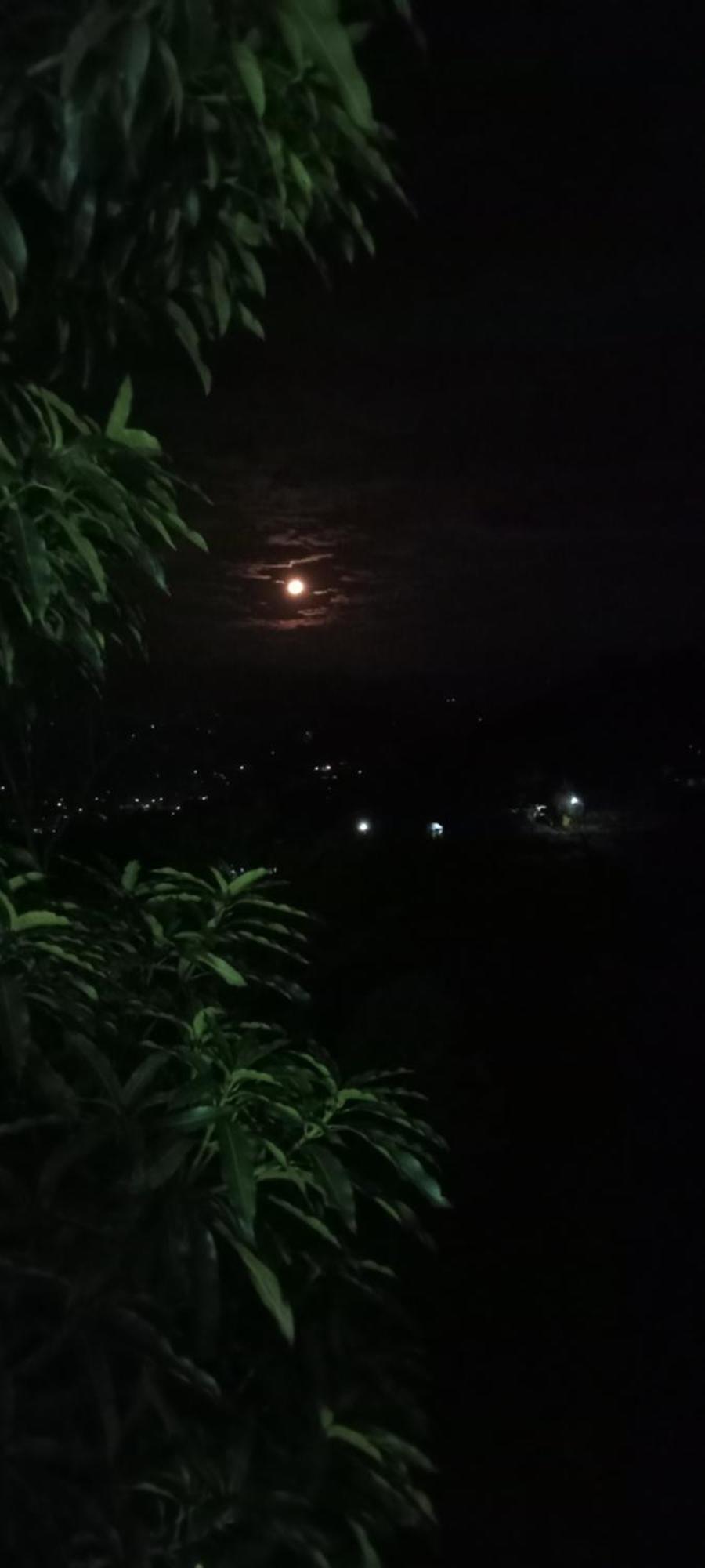Kandy Ivy Mountain View Resort חדר תמונה